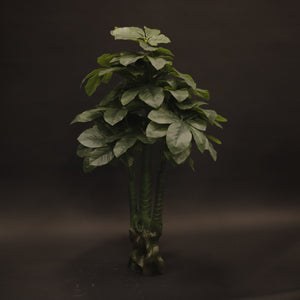 HCFL9691 - Dwarf Umbrella Tree