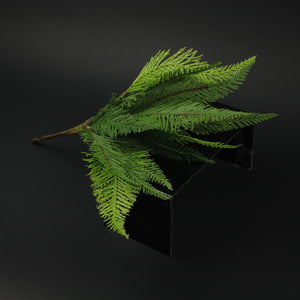 HCFL9840 - Cedar Branch