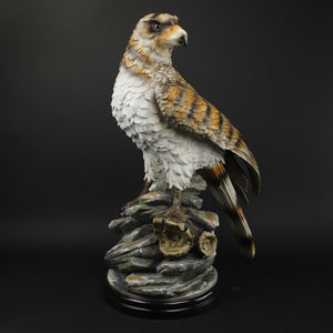 HCHD9922 - Tall Spotted Eagle