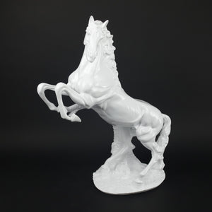 HCHD9935 - White Jumping Horse