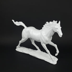 HCHD9936 - White Running Horse