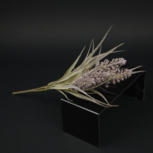 HFL10337 - Pink Lupin Bq