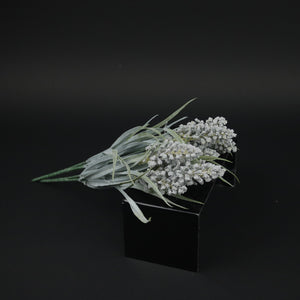 HFL10340 - Sage Lupin Bq