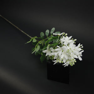 HFL10616 - LS White Jasmine
