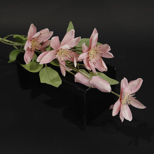 HFL10630 - LS Pink Clematis