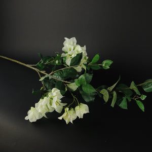 HFL10632 - LS White Plum Leaf