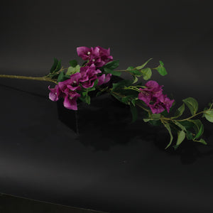 HFL10633 - LS Deep Violet Plum Leaf