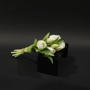 HFL10739 - Cream Tulip Bq