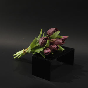 HFL10741 - Burgundy Tulip Bq