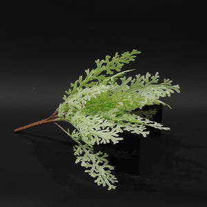HFL11142 - Coral Fern