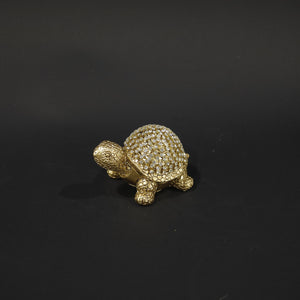 HHD11075 - S Gold Box Turtle