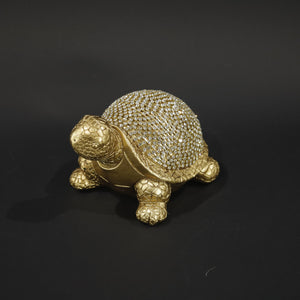 HHD11077 - L Gold Box Turtle