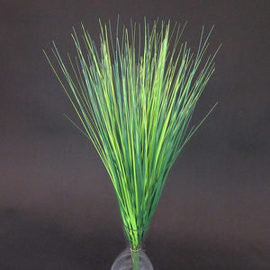 HCFL5934 - Veregated Grass