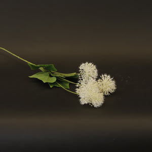 HCFL8437 - LS Tiny White Dianthus