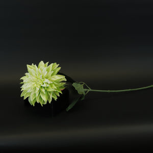 HCFL8439 - LS Green Dahlia
