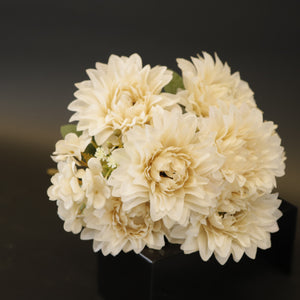 HCFL8586 - Cream Peony Bq