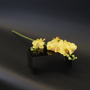 HCFL8591 - S Yellow Long Stem Orchid
