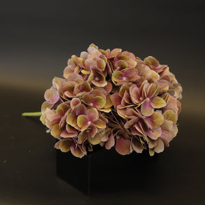 HCFL9176 - Plum Hydrangea Bq