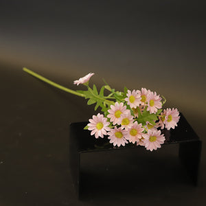 HCFL9326 - LS Pink Daisy