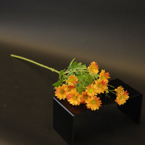 HCFL9329 - LS Orange Daisy