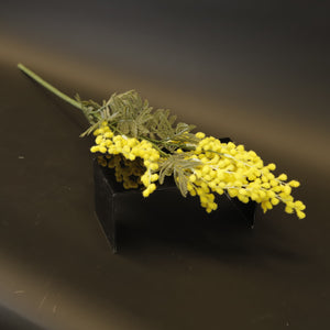 HCFL9332 - LS Yellow Yarrow