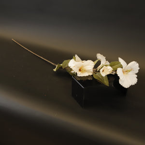 HCFL9335 - LS Cream Hibiscus