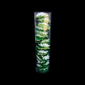 HCGL4112 - Cylinder - 20"