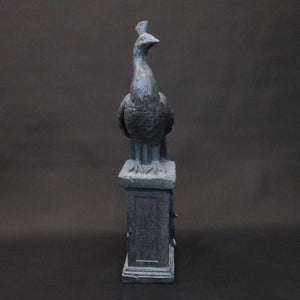 HCHD5881 - Elegant Peacock on Stand