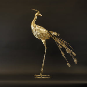 HCHD8470 - M Full Tail Peacock
