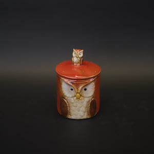 HCHD9421 - Orange Owl Canister