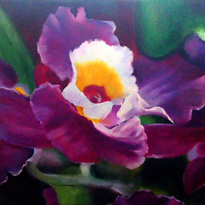 Floral Collection