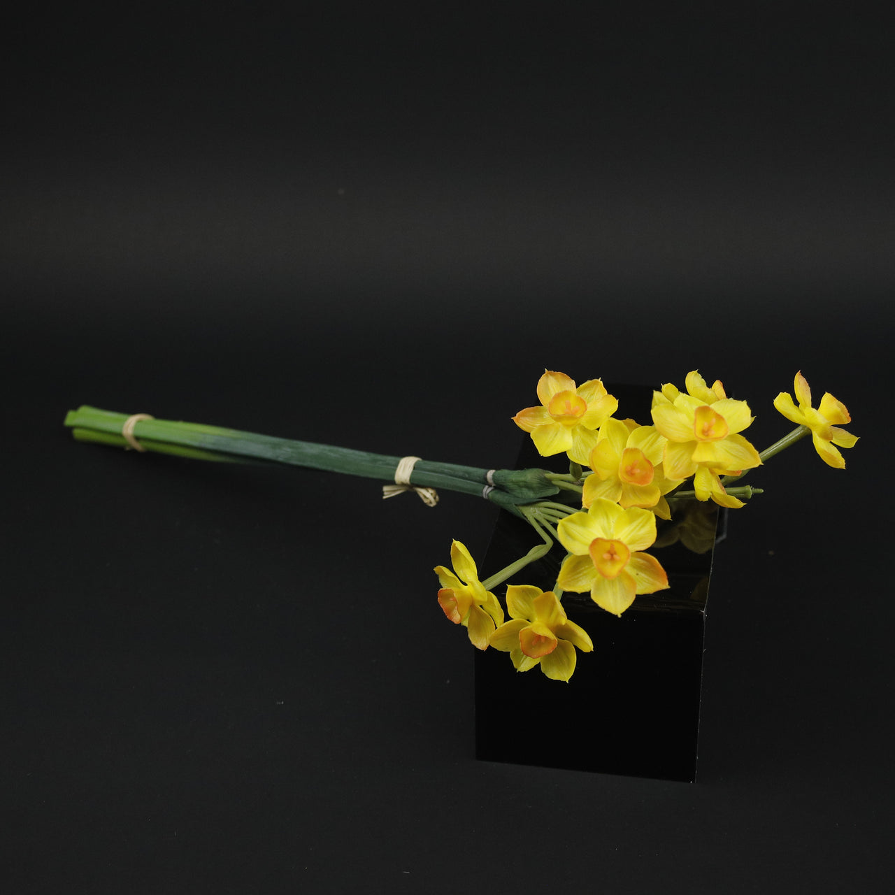 HCFL8410 - LS Orange Daffodil