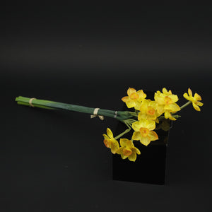 HCFL8410 - LS Orange Daffodil