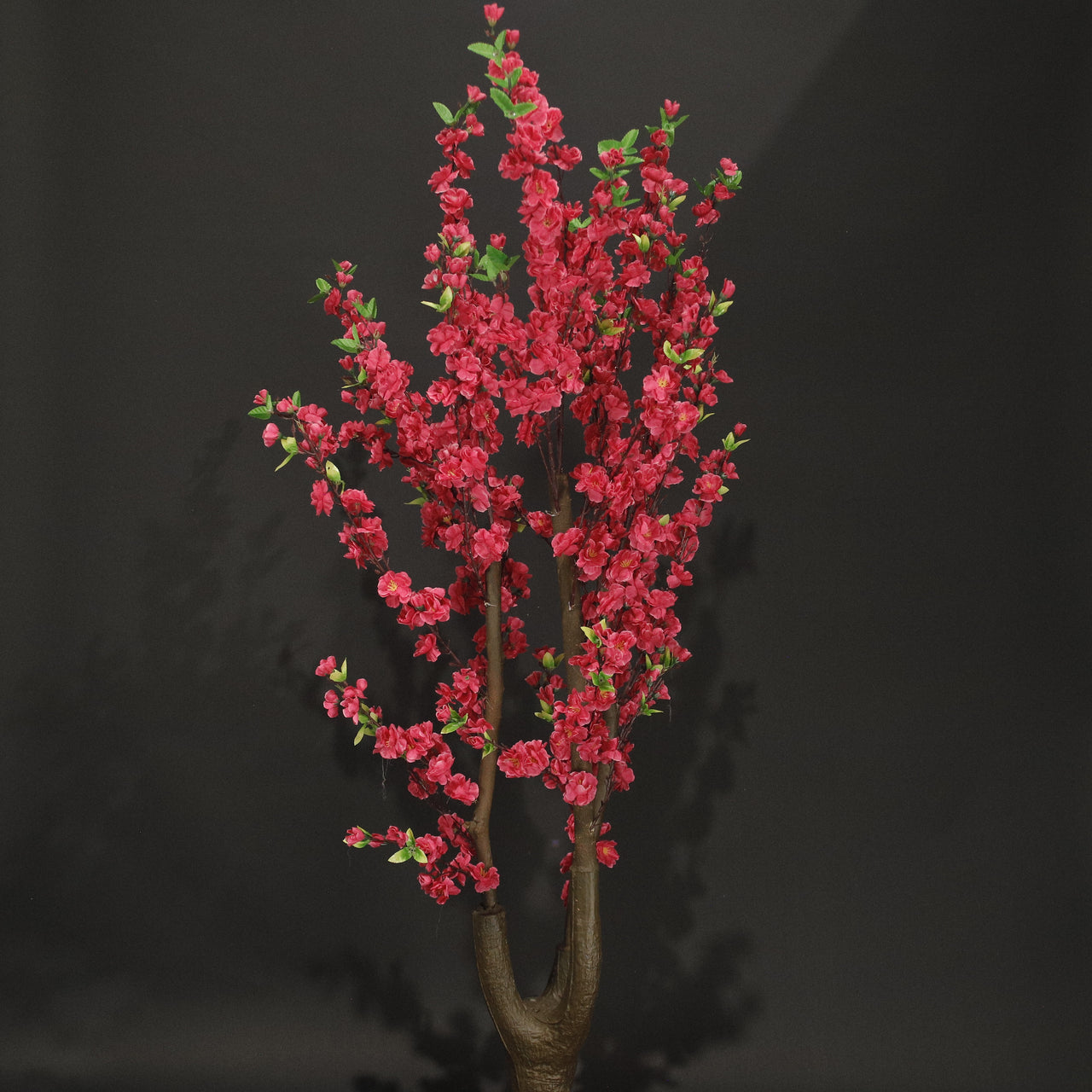 HCFL8421 - Dk Pink Cherry Blossom Tree - 5'