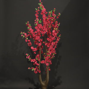 HCFL8421 - Dk Pink Cherry Blossom Tree - 5'