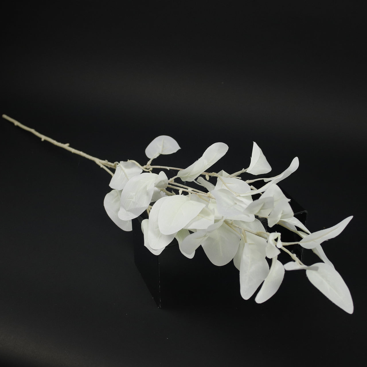 HCFL9156 - LS Frosted White Dusty Miller