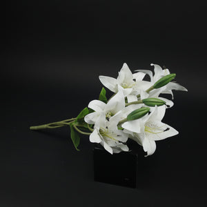 HCFL9604 - Large White Lily Bq