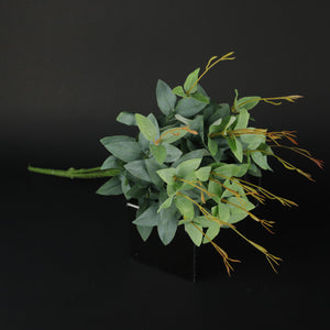 HCFL9802 - Green Silver Dollar Bq
