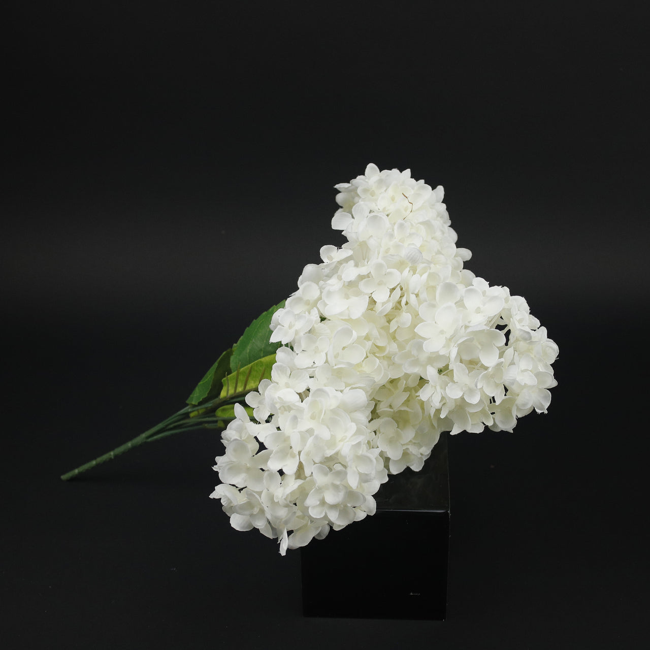 HCFL9807 - White Lilac Climber Bq