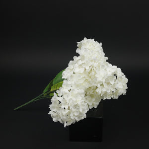 HCFL9807 - White Lilac Climber Bq