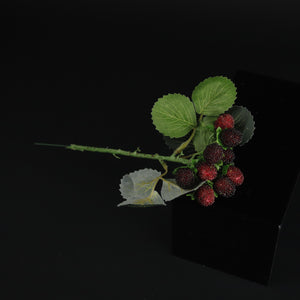 HCFL9817 - Wild Strawberry Stem
