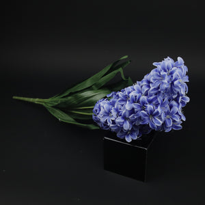 HCFL9844 - Blue Lilac Bq