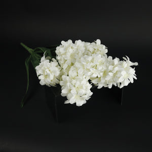 HCFL9845 - White Lilac Bq