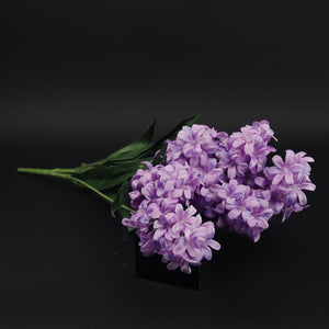 HCFL9846 - Purple Lilac Bq
