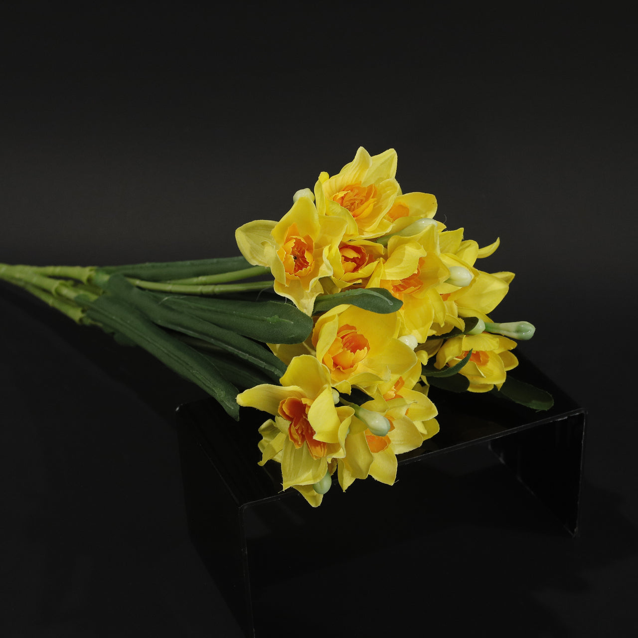 HCFL9847 - Yellow Wild Daffodil Bq