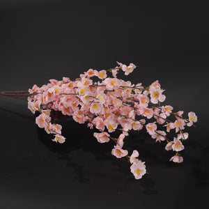HCFL9849 - LS Pink Flowering Apricot