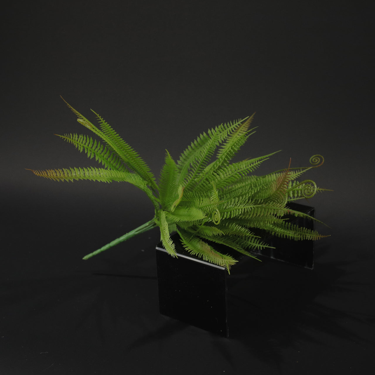HCFL9850 - Red Leather Leaf Fern