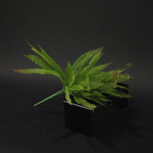 HCFL9850 - Red Leather Leaf Fern