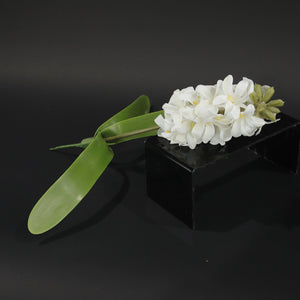 HCFL9856 - LS White Hyacinth