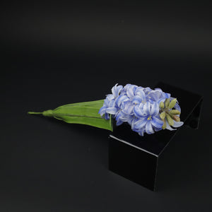 HCFL9857 - LS Blue Hyacinth